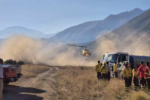 NO más incendios forestales
