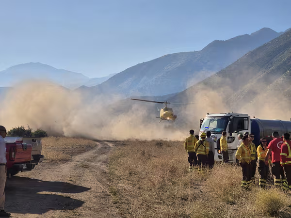 NO más incendios forestales