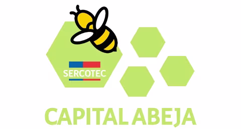 Capital Abeja