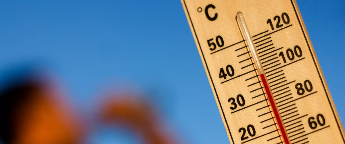 Diseño sin título (8)