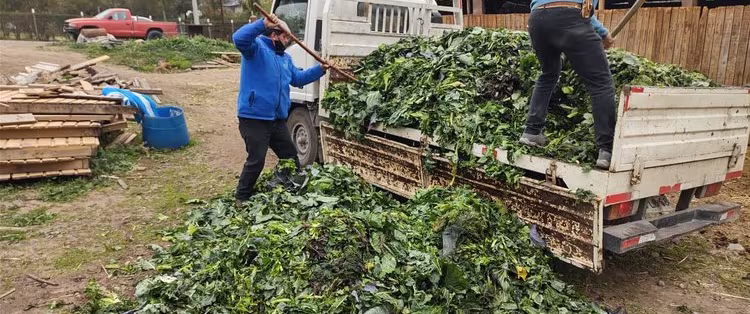 Entrega de alimentos