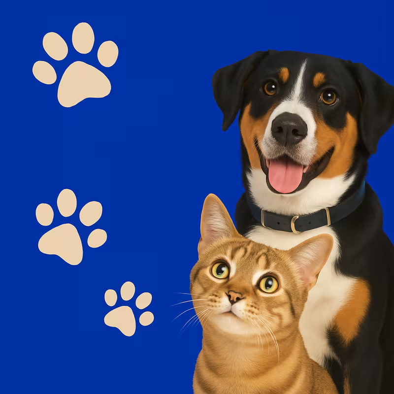 Operativo de Medicina Preventiva Canina y Felina