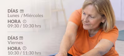 Taller Deportivo Gimnasia Adultos Mayores (Las Vertientes)