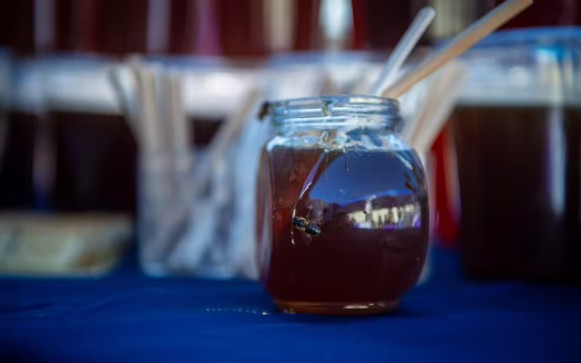 _XNC3333Comunicaciones SJDM