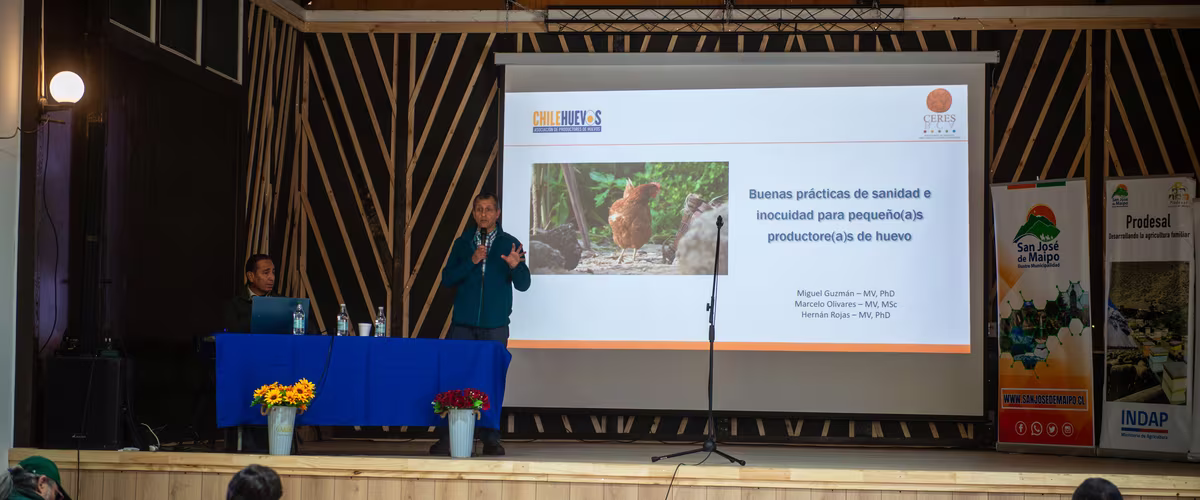 _XNC3513Comunicaciones SJDM