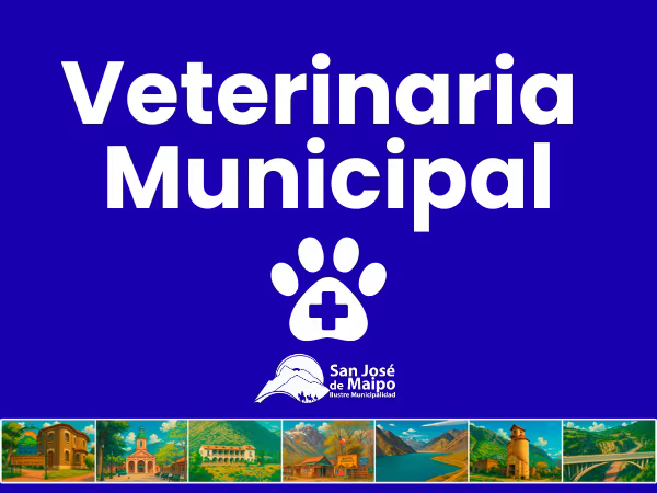 Valores Atención Veterinaria Municipal