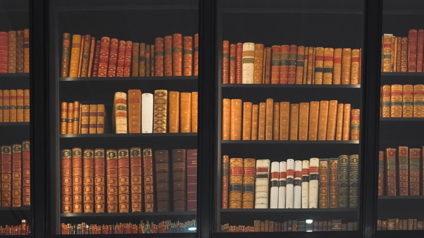 Revisa las Ordenanzas Municipales