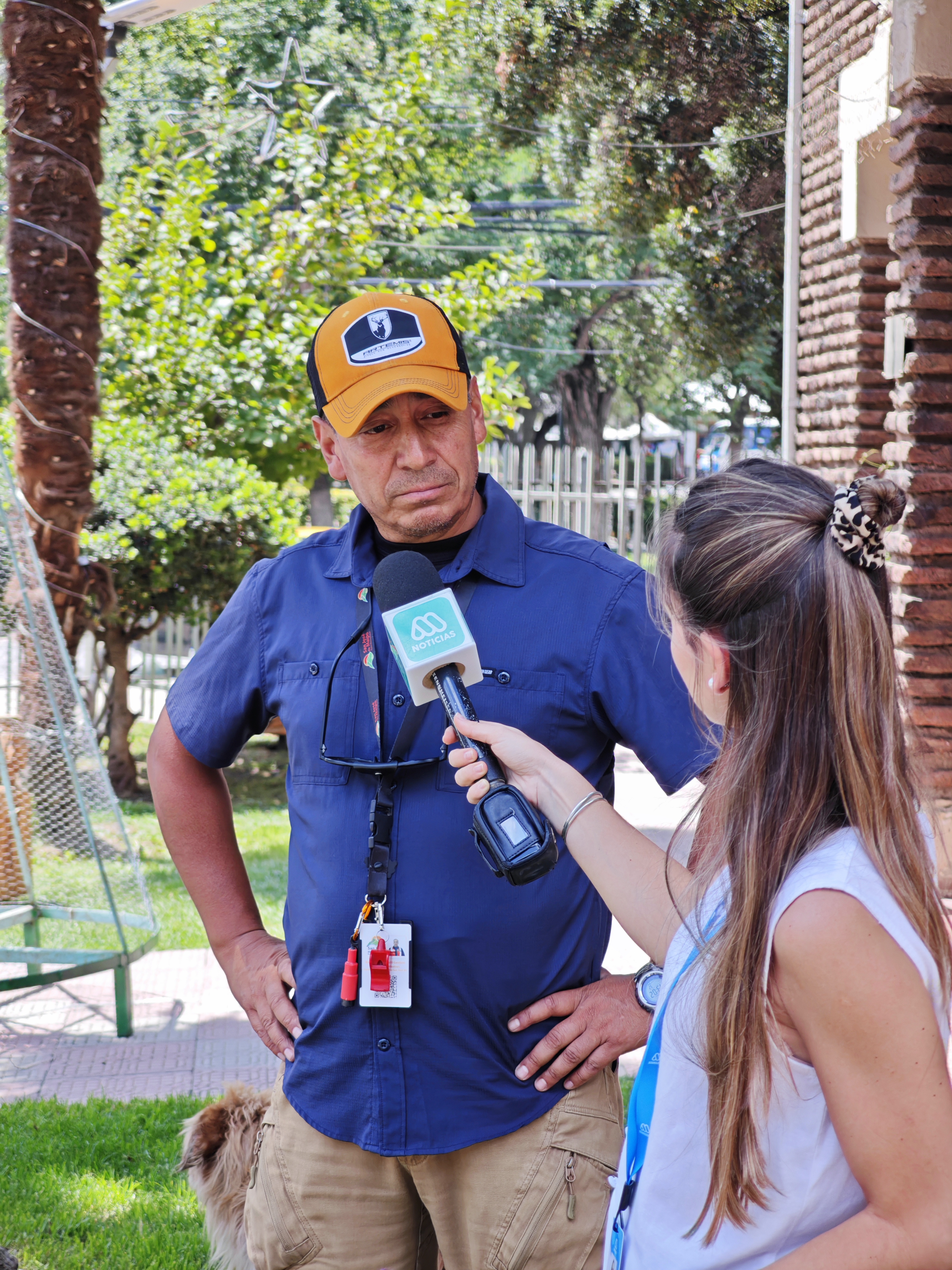 Volcán Tupungatito se mantiene en Alerta Verde